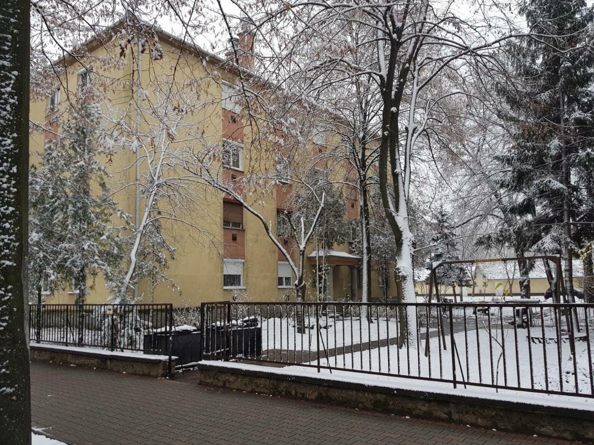 Lia Apartman Kiskunhalas Eksteriør bilde